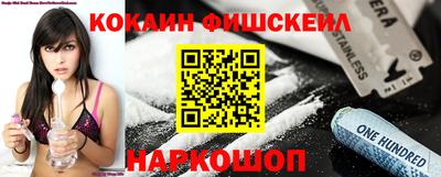 крисы Дубна