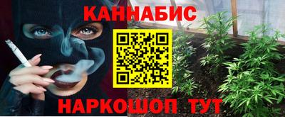крисы Дубна